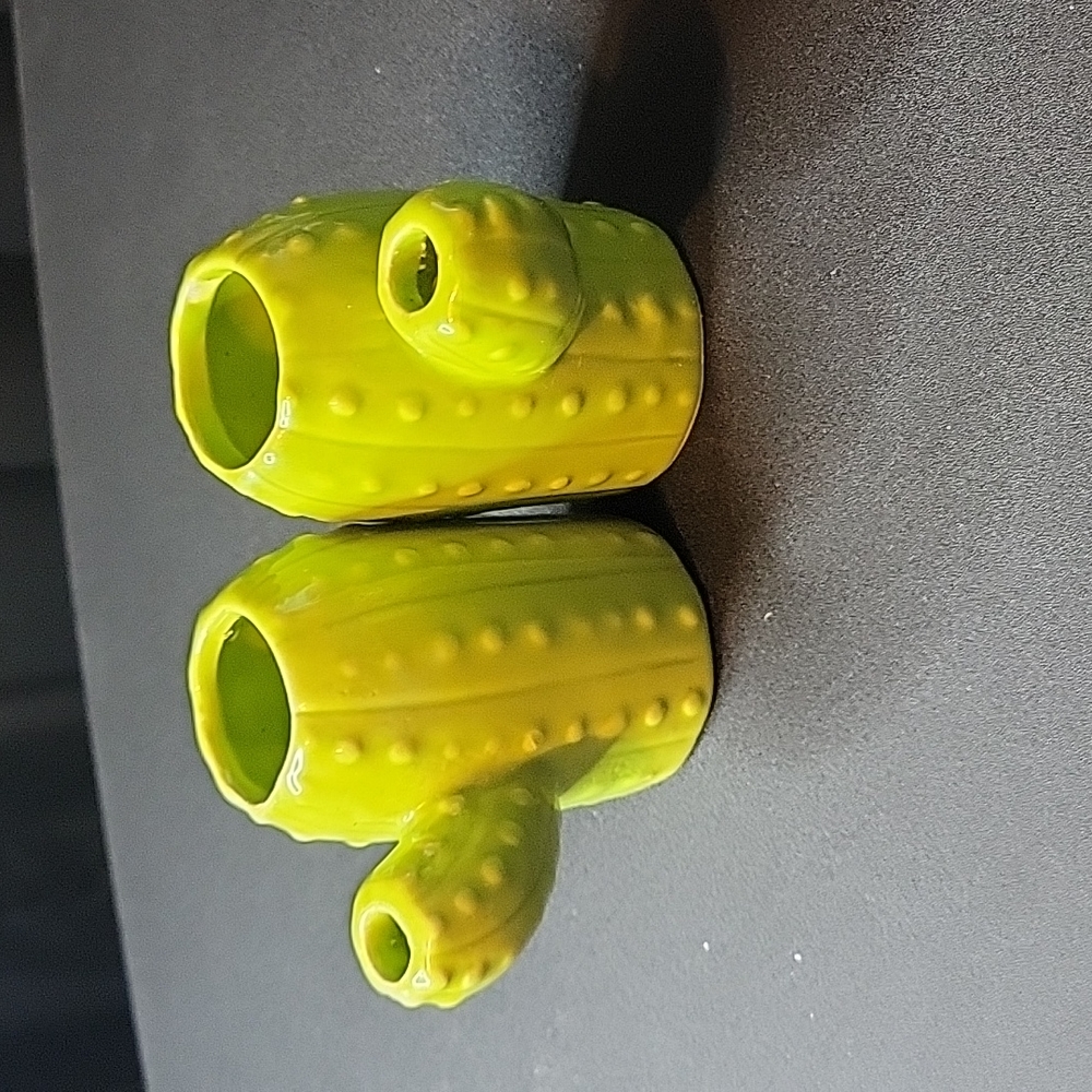 Cactus Planters